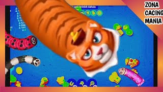 🐍WORM MATE ZONE IO BEST SCORE 4 M++ | Rằn Săn Mồi | BIGGEST GIANT SLITHER SNACK | #165