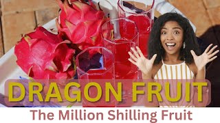 The Million Shilling Crop | All that you need to know about Dragon Fruit | Mrs. Monica Waiganjo