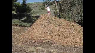 Little girl climbs a huge woodchip pile