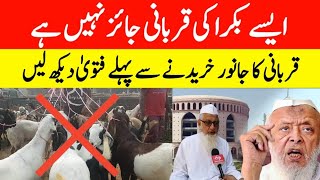 ایسے بکرا کی قربانی جائز نہیں ہے || قربانی کا جانور خریدنے سے پہلے فتویٰ دیکھ لیں