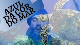 Azul da cor do mar (Tim Maia) - Seven Eyes