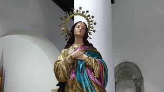 María es la Virgen profetizada