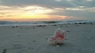 Gulf of Mexico beach sounds from Naples, Florida with beautiful sunset #wavesounds #floridabeaches