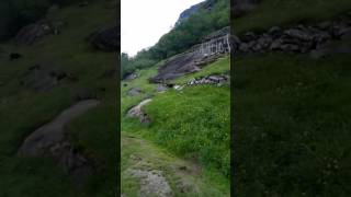 Geiranger Goatfarm