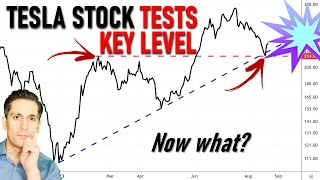 Tesla Stock Drops to KEY LEVELS We Expected... Now what?