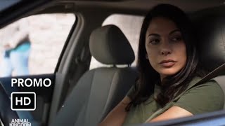 Animal Kingdom 6x13 Promo "Fubar" | Animal kingdom