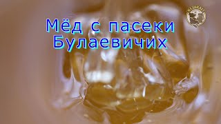 Пасека Булаевичих Меды на пыльцевом анализе