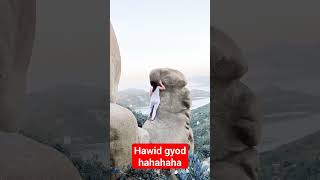 Amazing Creation  #hongkong #lammaisland #penisrock #shortvideo #viral #subscribers #trendingshorts