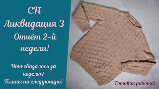 СП Ликвидация 3//Что связала? Отчет 2 й недели!