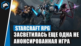 STARCRAFT RPG: Blizzard ЗАСВЕТИЛА еще одну не анонсированную игру в «существующей франшизе»