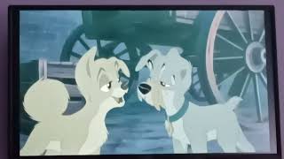 Lady and the Tramp 2 Scamp's Adventure: Scamp meet Angel In Francais