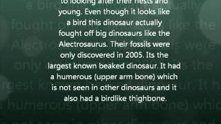 Extinct dinosaurs: The Gigantoraptor