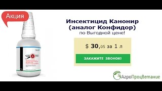 Купить Инсектицид Канонир Оптом. Аналог Конфидор Макси