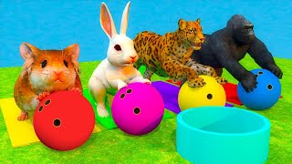 Funny animals bowling over challenges! Hamster, Rabbit, Leopard, Gorilla, Dinosaur