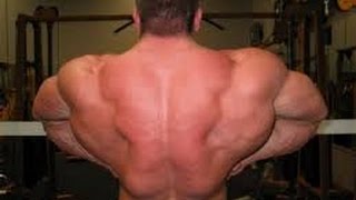 BACK DAY EXERCISES - BodyBuilding