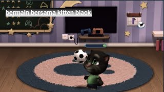 Bermain bersama kitten black/ kucing hitam