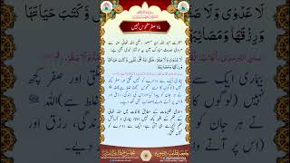 mah e safar koi manhoos nahi #islamicstetus #hadees #safar #tawhum #virel #youtubeshorts