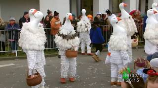 Hailfinger Schnattergees,Schnattergänse 2018 beim Rottenburger Ommzug