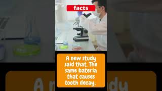 facts about bateria that causes tooth decay #shorts #facts