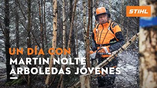 Cuidado de arboledas jóvenes | Un día con el ingeniero forestal Martin Nolte