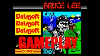 Gameplay of Bruce Lee on the ZX Spectrum