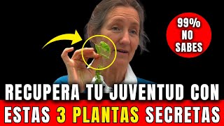 🥬3 PLANTAS de Juventud que aportan COLÁGENO y FAVORECEN tu PIEL | Dra Barbara O'neill