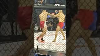 SFT - MMA Trocação #viral #boxing #mma #ufc #shorts