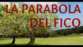 "La parabola del fico" (predica del Past. Elio Testa su Luca 13:6-9).