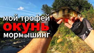 Началась! ОХОТА на ОКУНЯ. ТРОФЕЙ ВЗЯТ!  #мормышинг #рыбалка #nanojig #окунь #perch