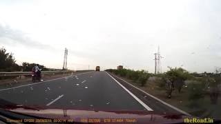 Car hitting a dog in a highway | Dog hit | Car vs Dog