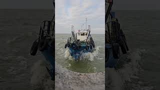 Pilot Boat Laif⛴️#shorts #ship #shipping #pilot #pilotboat #pilotlife #pilotseason #sea #ocean #life