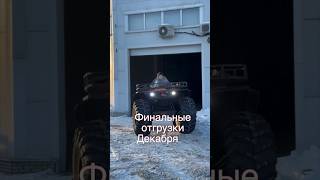 Наши предновогодние отгрузки за декабрь❄️ #shorts