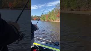 Fishing enjoying fall colors