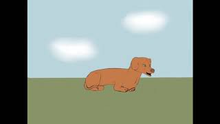 Dog animation