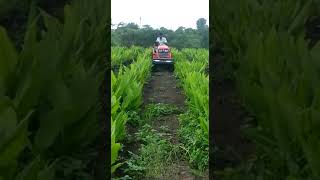 Kubota 24hp tractor demo in haldi कुबोटा 24 hp ट्रॅक्टरने हळद मधील मशागत