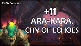 GUARDIAN DRUID POV || +11 ARA KARA, CITY OF ECHOES || THE WAR WITHIN SEASON 1