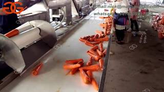 Carrot Cleaning Machine Price|Vegetable Cleaner and Washer Machine