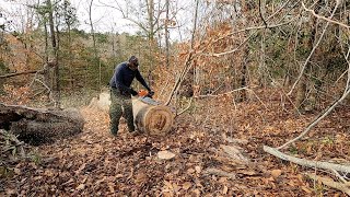 Bucking and Skidding the Big Beech - Milling a Rustic Outdoor Bench, Part 2