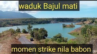 momen strike ikan nila babon di waduk Bajul mati