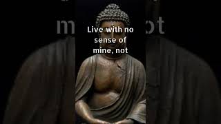 Buddha Quotes | Inspirational Speech | #shorts