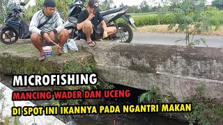 Micro Fishing - Mancing Wader Di Selokan Pinggir Jalan Hasilnya Pasti Menggembirakan #waderlite