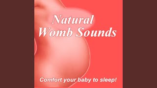 Natural Womb Sounds