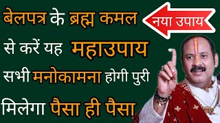 बेलपत्र के ब्रह्मकमल का उपाय करने के बाद आपकी हर मनोकामना होगी पुरी, घर पर होगी कुबेर की विशेष कृपा