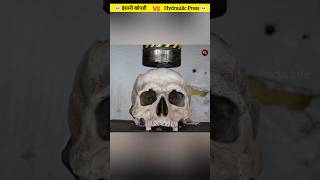 Human Skull 💀 VS Hydraulic press l #shorts #youtubeshorts #shortvideo @CrazyXYZ @FactsMine