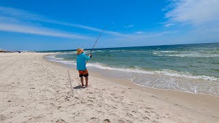 Blacktip Shark Fishing