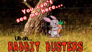 Mr Rabbit Enjoys the Sun, Hidden from the Rabbit Busters...or is he? - Hunting Video #rabbitbusters