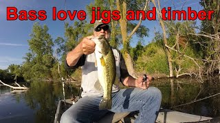 bass love jigs and timber