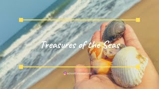 Treasures of the Seas