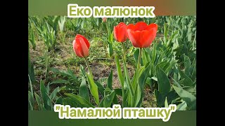 Екомалюнок «Намалюй пташку»