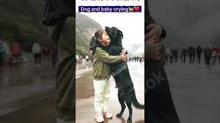 Dog and baby crying🐈❤️ #viralbaby #cutebaby #shorts #trending #cute